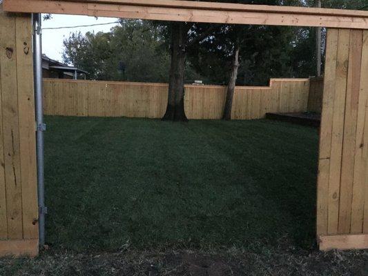 Nothing prettier than a freshly sodded fescue yard.  The newly installed sprinkler system will keep this yard looking like gr...