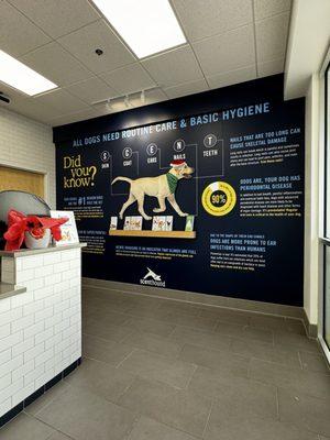 Scenthound Mount Dora