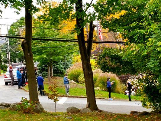Excellent turn-out for 1st day of early voting. Long lines daily @Eastchester Library - (10/24/2020)