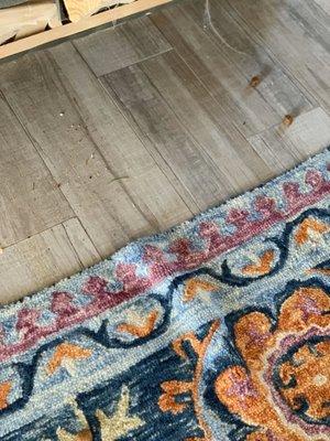 Cinderella Maid Service