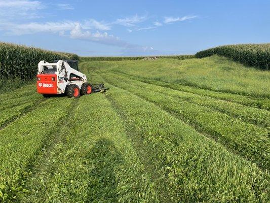 Davis Property Services