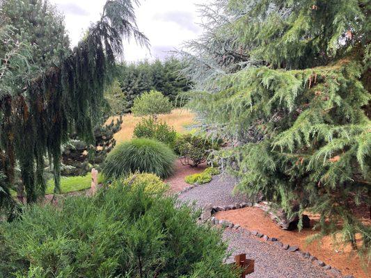 Carson Ridge Luxury Cabins