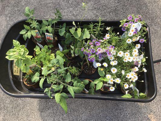 Geremia Gardens
