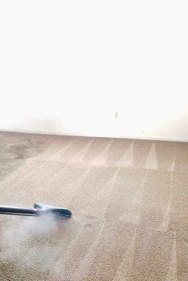 Alfonso's Carpet Cleaning