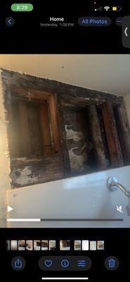 Mold they said it's not mold y'all so useless