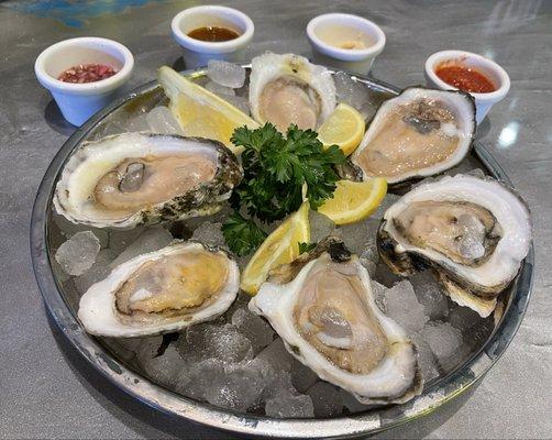 Blue point Oysters