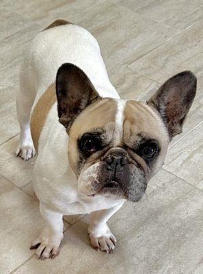 Creekside Veterinary Hospital