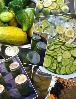 We teach an assortment of "Pickling" classes. Check our schedule at http://www.quailhollowkitchens.com/Classes.html