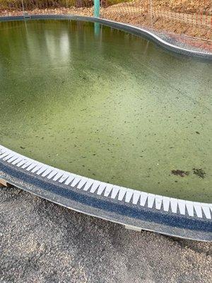 Green slime that was "part of the construction process"