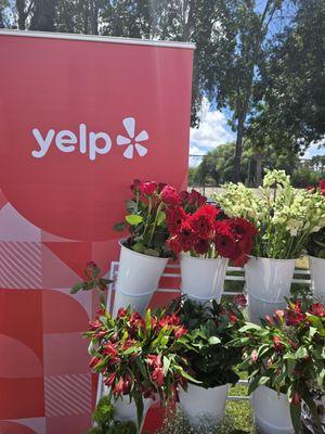 Encino Farmers Market