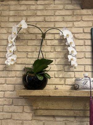 Arrangements by Mary Parks