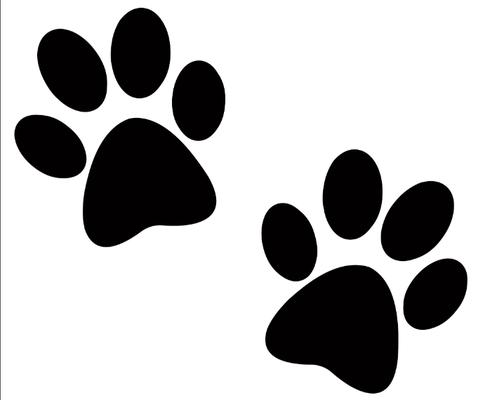 Rosebrock Veterinary Clinic