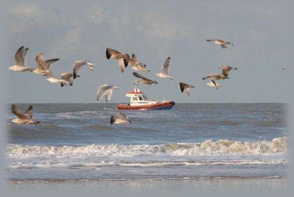 Anne Arnold's Beach Rentals