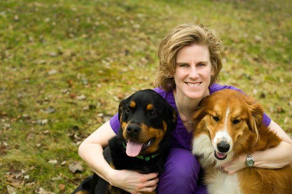 All About Pets Veterinary Hospital