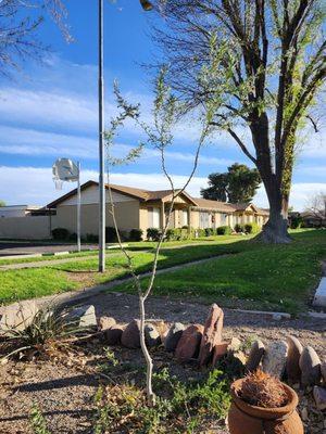 Elgin Nursery & Tree Farm