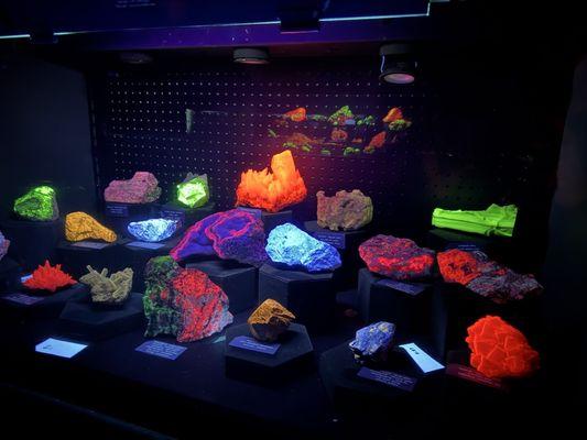 Naturally Fluorescent rocks on display