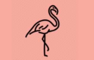 The Pink Mingo Skin Care