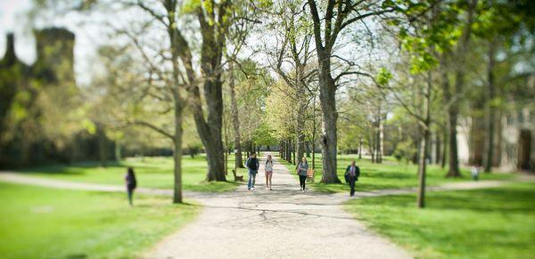 Alma Mater Educational Services