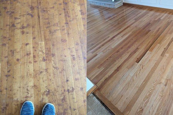 One picture is worth a thousand words