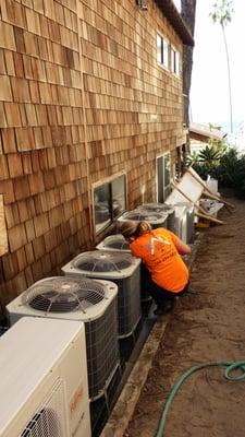 Erudite Comfort Solutions