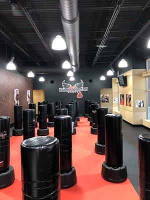 iLoveKickboxing- Lake St. Louis