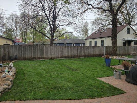 Rockman Landscaping & Tree Service