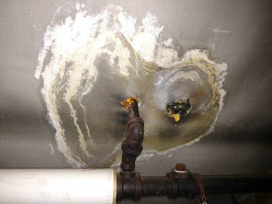 Elden Home Inspection