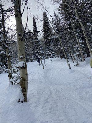 Beaver Mountain Ski Resorts, Weather & Snow Report