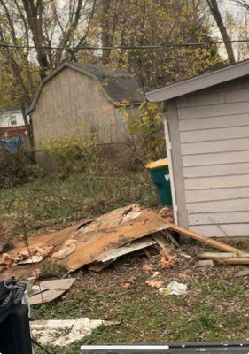 Junk Flight Removal Services