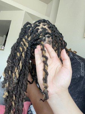 Continental Studio of Beauty