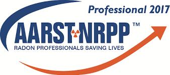 Blue Roof Home Inspections