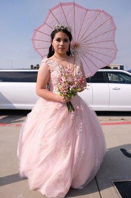 C & M Limousines & Transportation Services