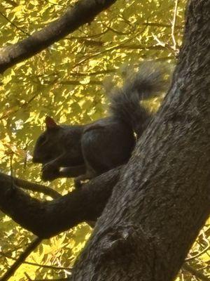 Clinton Township Senior Adult Life Center