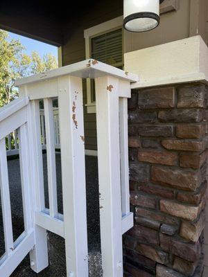 Best Exterior Cleaning