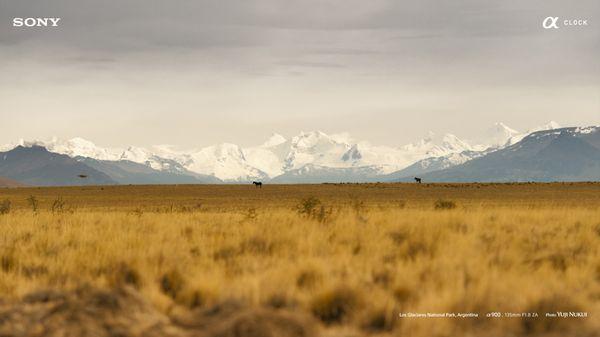 EL SOL CONSTRUCTION & LANDSCAPING