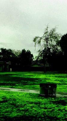 Bill Greens, California