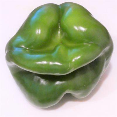 "One hand washes the other and together they wash the face."