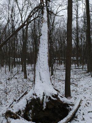 Franklin Woods Nature Center