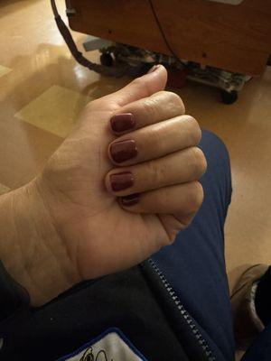 Alexander's Salon & Spa