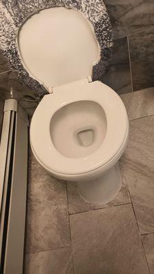 Medusa Snaking And Plumbing