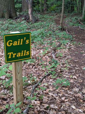 TS Lettering & Graphics