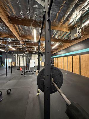 Pain & Performance Coach