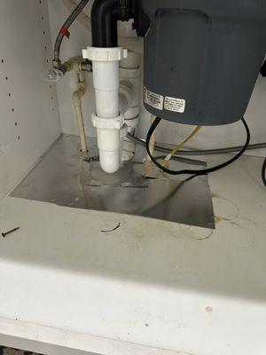 Home Shield Pest Solutions