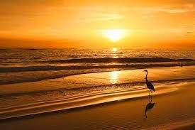 Coldwell Banker Coast Realty