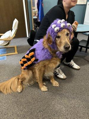 All Saints Preschool and Child Care