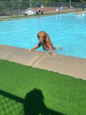 Lucky Paws Pet Resort