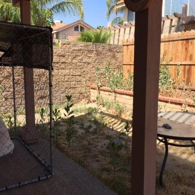 Concrete Concepts And Design