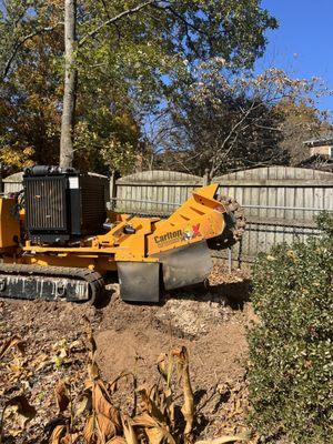 D&D Top Notch Tree Service