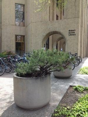 Robert Crown Law Library