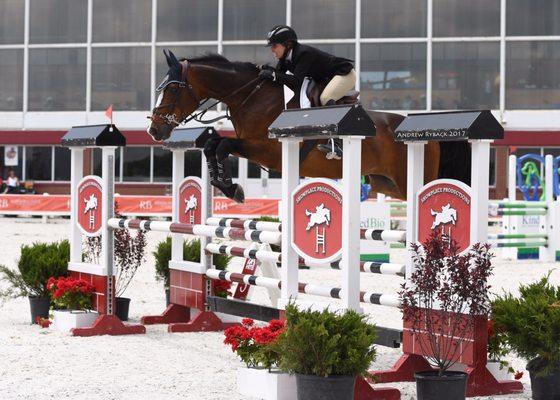 Sapphire Riding Academy